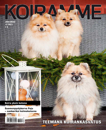 Koiramme joulukuussa 2021