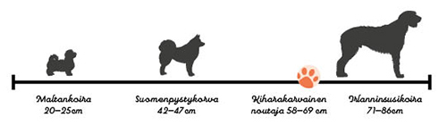 Koiramme-lehden toimitus