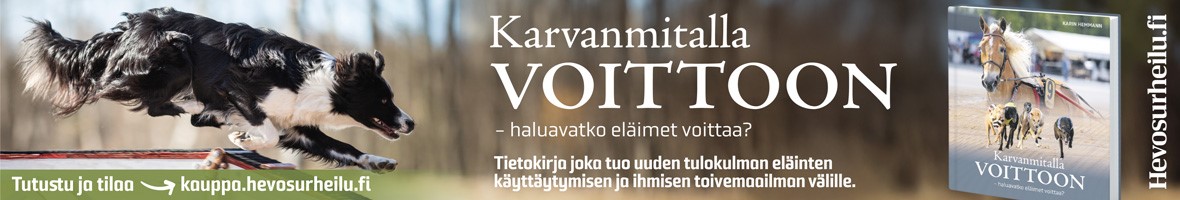 koiramme etusivu 1.