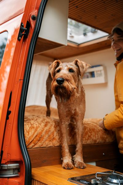 Kuva: Jerry Ylk&auml;nen