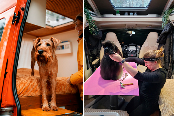 Liikkuvasta elämäntyylistä on tullut ilmiö ja monen unelma. Aino Huilaja ja Minna Juola tietävät, millaista on koiraperheen pakuarki.