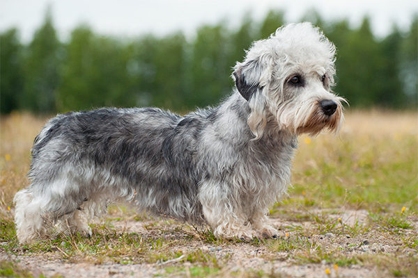 Kuva: Aino Pikkusaari