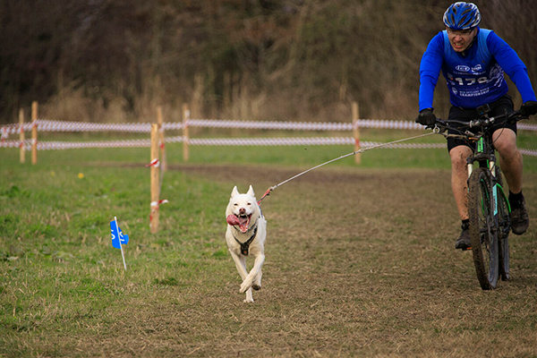 Kuva: Valeria Zambon