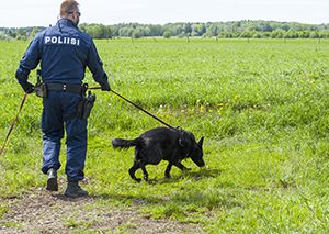 Esine-etsinnän harjoituksia tulee tehdä säännöllisesti, jatkossa se on mahdollista myös sisätiloissa. Kuva: Aino Pikkusaari