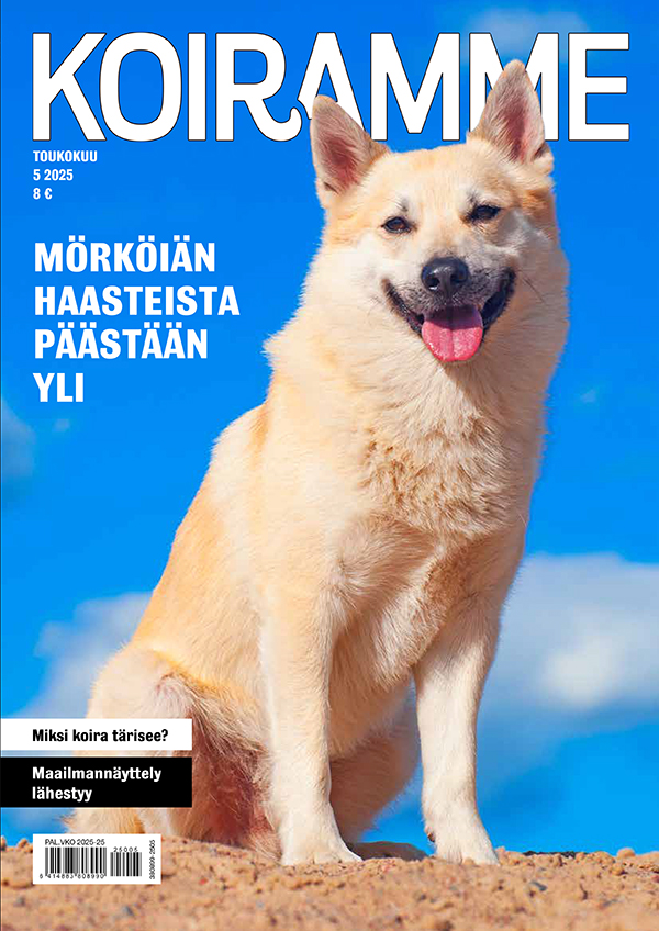 Koiramme toukokuussa 2025