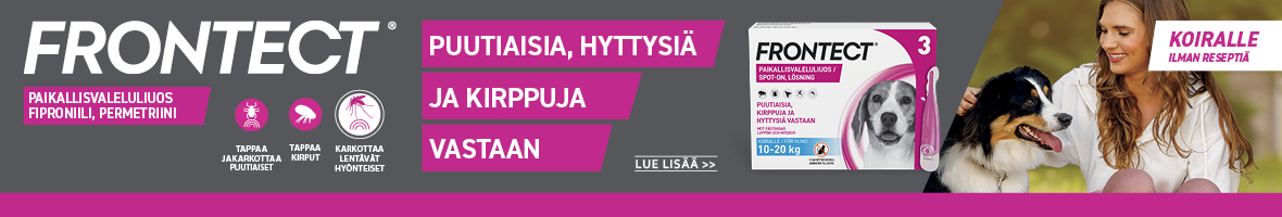 koiramme etusivu 1.