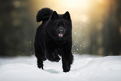 Kuva Paula Grekel&auml;