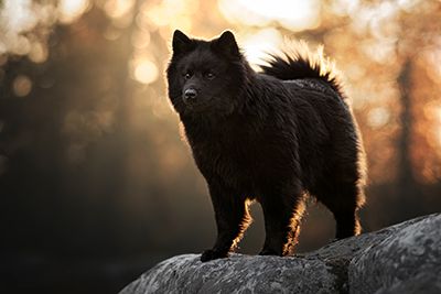 Kuva Paula Grekel&auml;