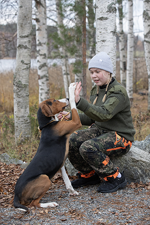 ”Suosittelen suomenajokoiraa kaikille, jotka tykkäävät metsästää, harrastaa ja joilla on aikaa olla koirien kanssa”, sanoo nuori ajokoiraharrastaja Heta Kattainen. Kuva: Heidi Lahtinen