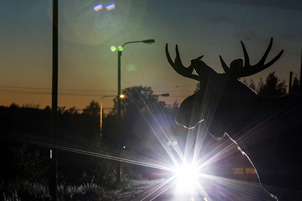 Pimeä syksy ja alkutalvi ovat onnettomuuksien huippuaikaa.