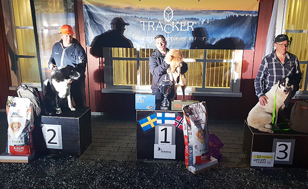 Kuva: Norske Elghundklubbers Forbund