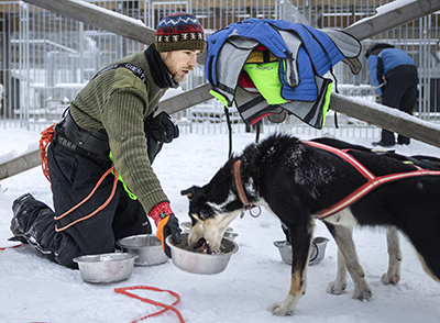 Bastien Beresina ruokkii koirat tauolla. Kaikki valjakon koirat ehtivät saada hänen huomionsa. Kuva Karoliina Paatos