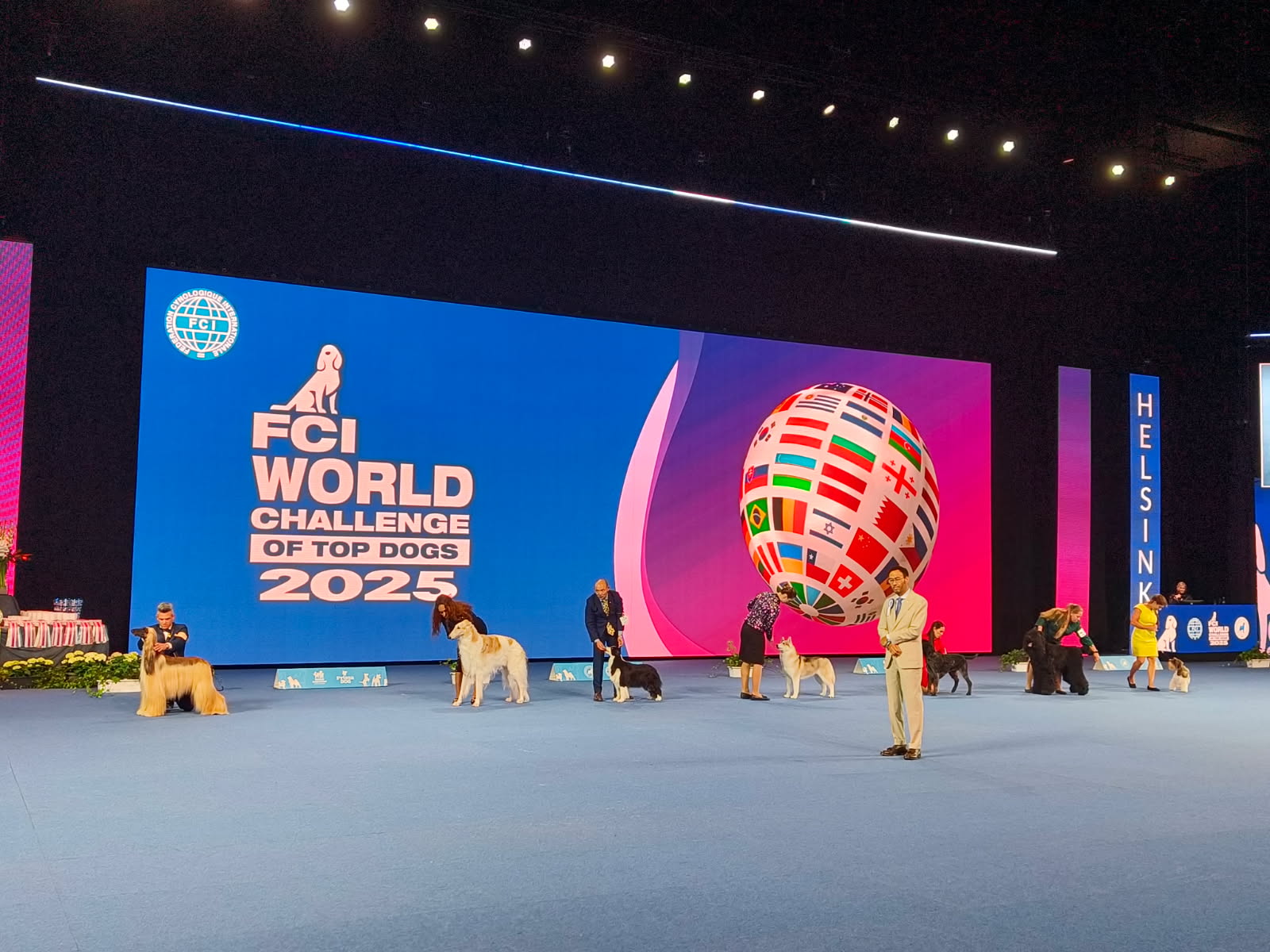FCI World Challenge of Top Dogs oli perjantaina yksi näyttelyn ylimääräisistä ohjelmista.