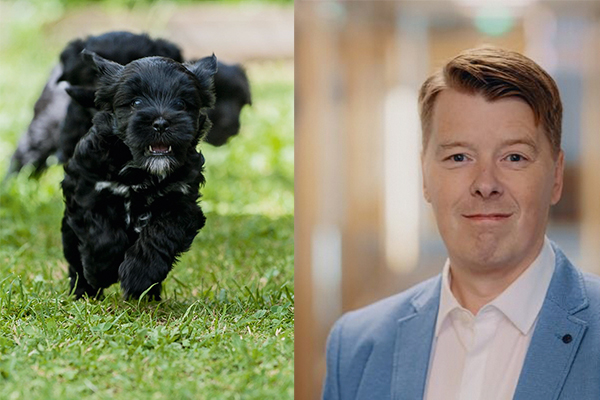 Jani Suonperä teki Itä-Suomen yliopiston Oikeustieteiden laitokselle tutkielman, joka käsittelee koirankasvatuksen verotusta.