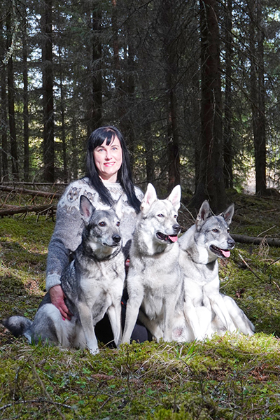 Kati Heinosen metsästysporukassa on harrastajia kuusivuotiaasta 80-vuotiaaseen. Sosiaalisuus ja yhtenäisyys ovat tärkeitä arvoja, kävi ilmi Katin gradukyselyssä metsästyksen hyvinvointivaikutuksista. ”Koiria tulee treenattua paljon yksin. Kun jahtiporukka sitten taas kokoontuu, se tuntuu erityiseltä.” Kuva: Terhi Oksanen