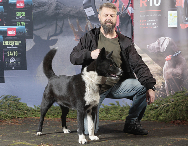 Marko Niemelän Kätkytvuoren Kerttu vei nimiinsä Kuningatar-tittelin hienolla tuloksella 98,50.