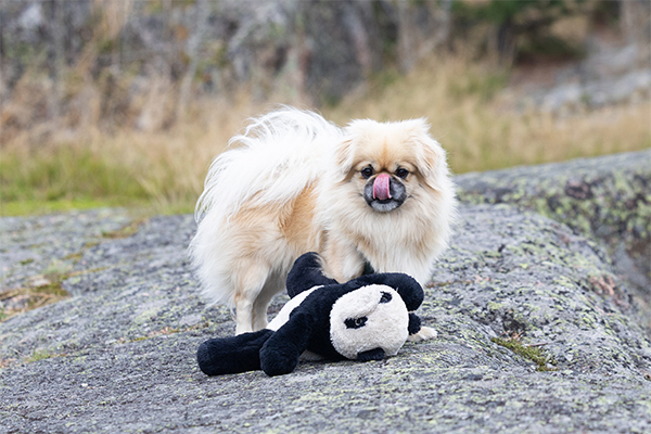 Kuva: Viivi Keinonen