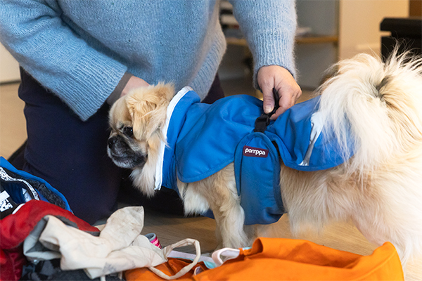 Kuva: Viivi Keinonen