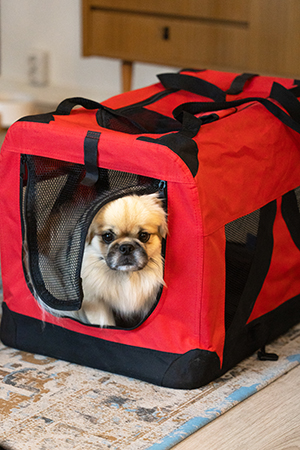 Kuva: Viivi Keinonen