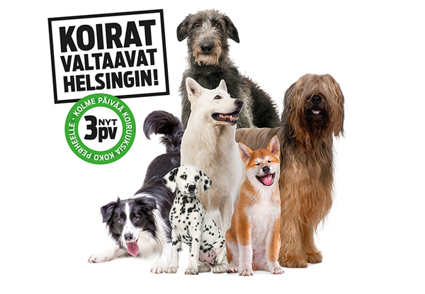 Koiramessut jatkaa koiraharrastajien itsenäisyysjuhlaa