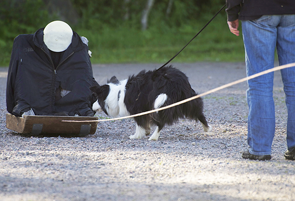Pienet kokeet voidaan varovaisesti aloittaa tauon jälkeen. Muun muassa luonnetestien aloittamista valmistellaan.