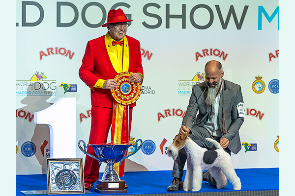 Rafael Malo Alcrudo (vas.) valitsi Madridin Maailmannäyttelyn kauneimmaksi italialaisen kettuterrierin Funfair Foxhousen. 