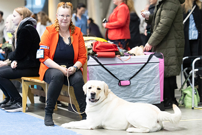 Nina Eklundin kanssa kuvassa on 2,5-vuotias Pepe alias October’s Ilomantsi. Kuva: Viivi Keinonen
