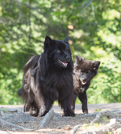 Kuva Kaisa Heikkinen