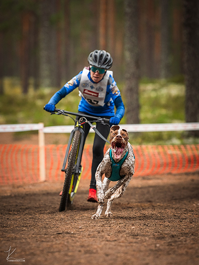 Paras valjakkourheilija 2024 on Sara Pöllänen, hän voitti viime vuonna sulanmaan lajien EM-kultaa. Kuva: Kimmo Virkki