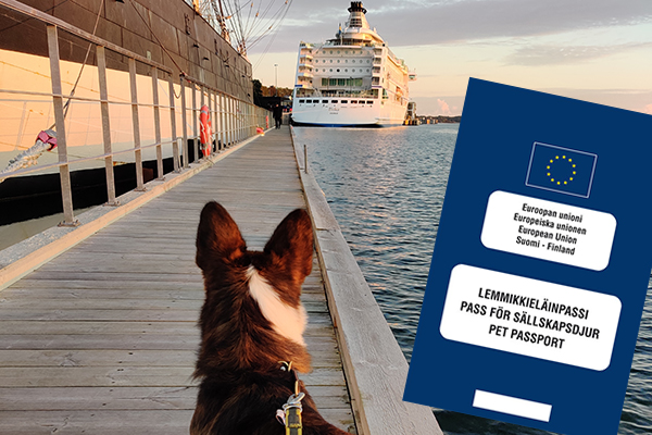 Matkustettaessa maiden rajojen yli tulee koiralla olla voimassa oleva rabiesrokotus, joka kirjataan EU-passiin. Ilman passia jää koira laivasta. Kuva Koiramme-lehti