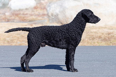 Kuva Petra Tiittanen