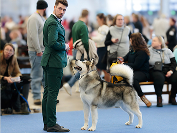 Kuva: Juuso S&auml;&auml;rel&auml; / Picture Perfect