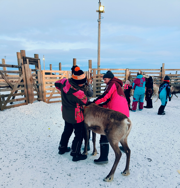 Kuva: Venla Jyrkisen albumi